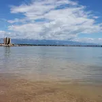 Denis