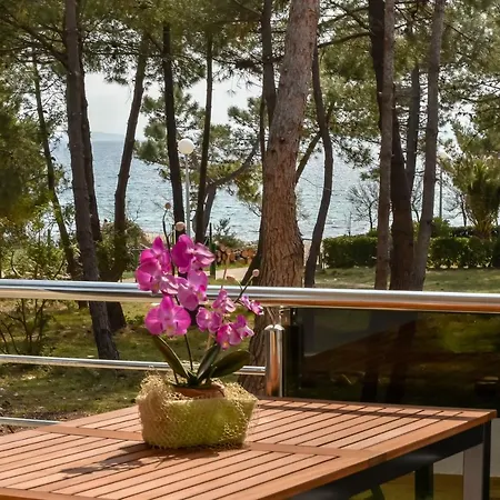 Apartment Denis