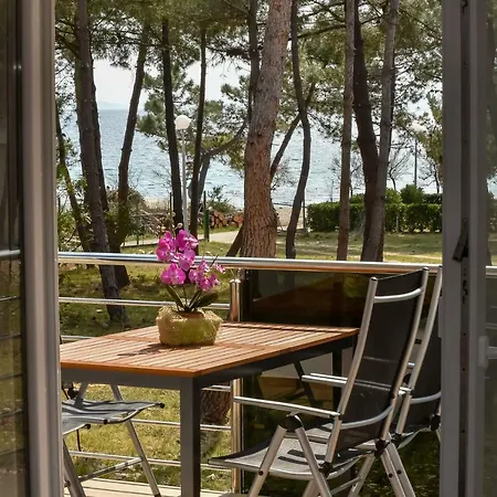 Apartment Denis