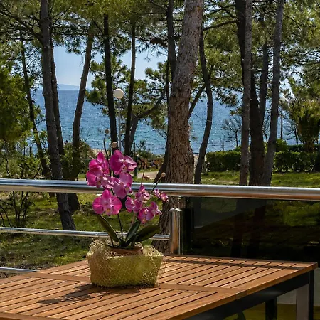 Apartment Denis